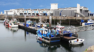 Port de pêche de La Turballe
